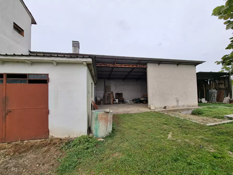 Immagine 4 di Casa indipendente in vendita  in via santa maria maddalena a Montegaldella