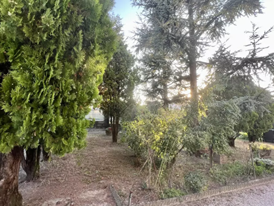 Immagine 18 di Appartamento in vendita  in Via Borgo Padova, 72 a Piove Di Sacco