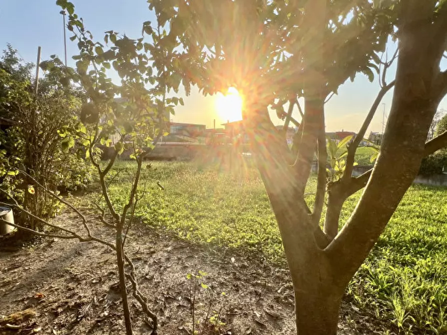 Immagine 19 di Appartamento in vendita  in Via Borgo Padova, 72 a Piove Di Sacco