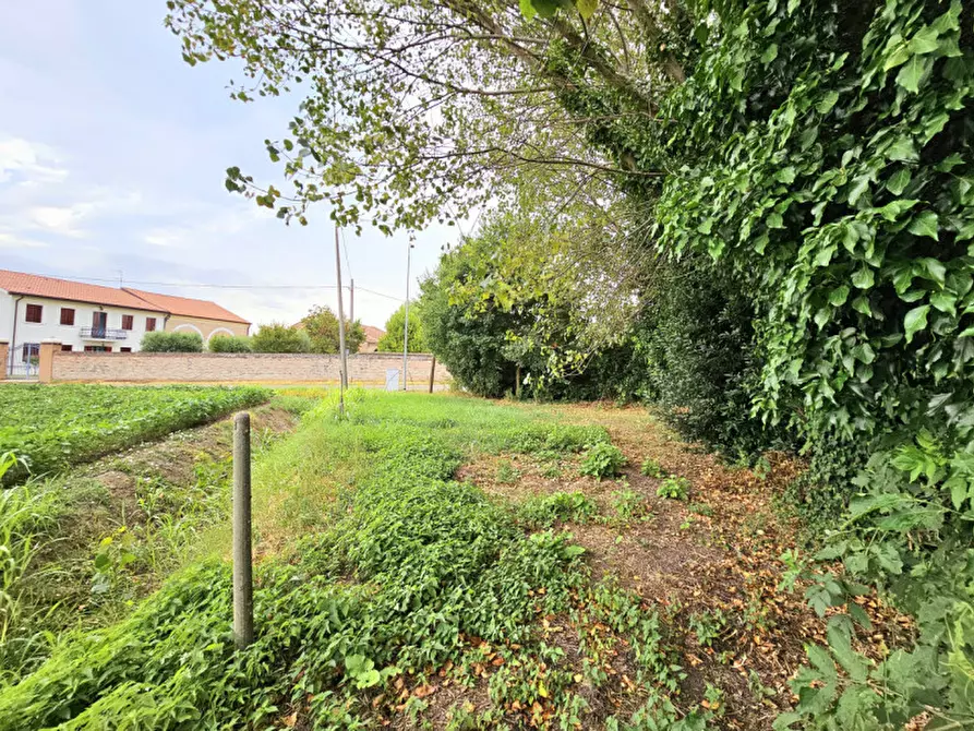 Immagine 15 di Villetta a schiera in vendita  in Via Fornasette di Sopra a Villa Estense