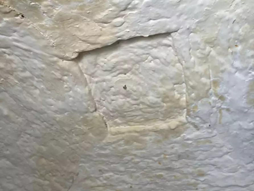 Immagine 4 di Rustico / casale in vendita  in Contrada Sant'Anna a Ceglie Messapico