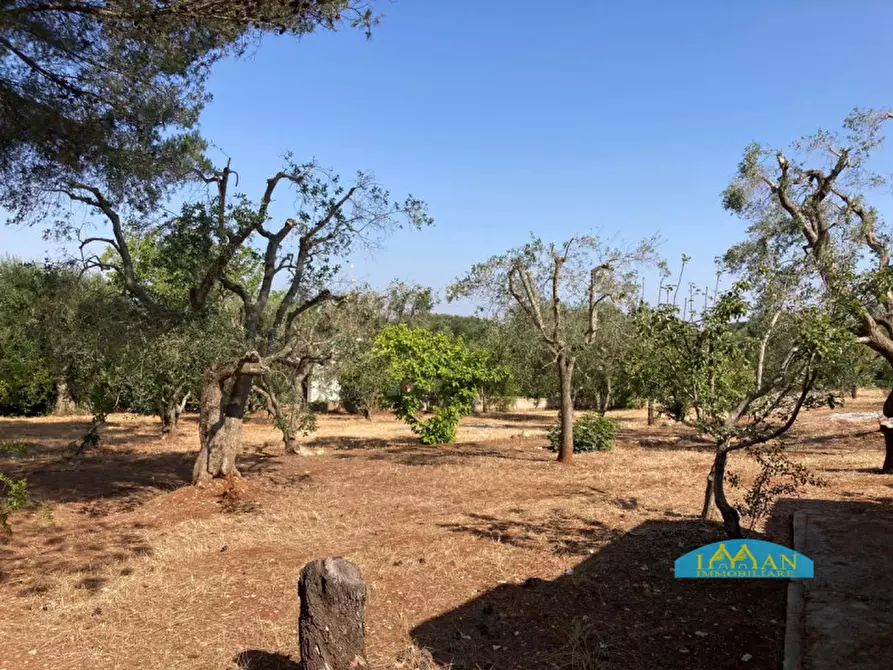 Immagine 7 di Rustico / casale in vendita  in Contrada Sant'Anna a Ceglie Messapico