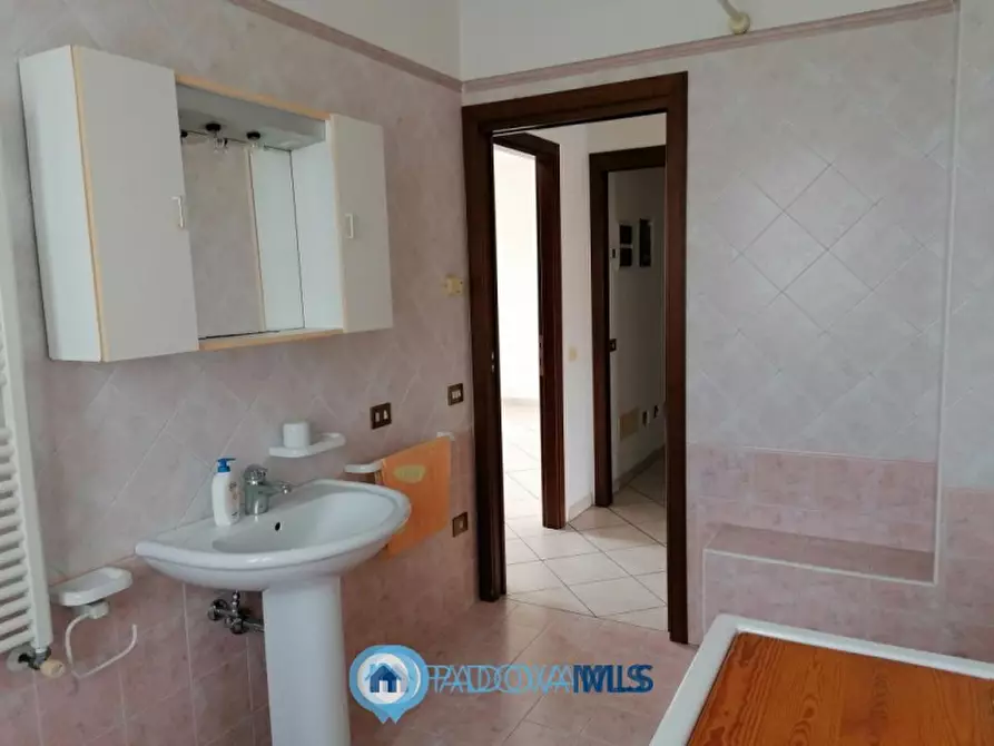 Immagine 22 di Casa indipendente in vendita  in Via Rosara a Codevigo