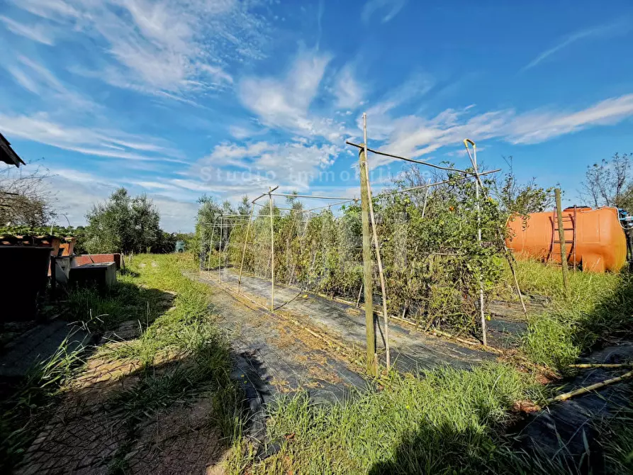 Immagine 51 di Villa in vendita  in via poggio alla farnia 31 a Fauglia