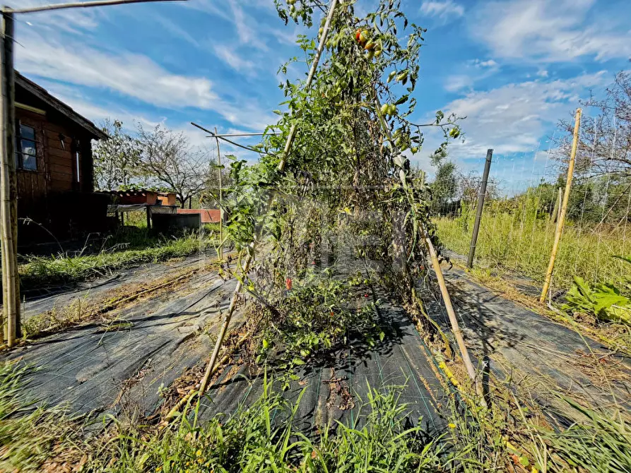 Immagine 52 di Villa in vendita  in via poggio alla farnia 31 a Fauglia