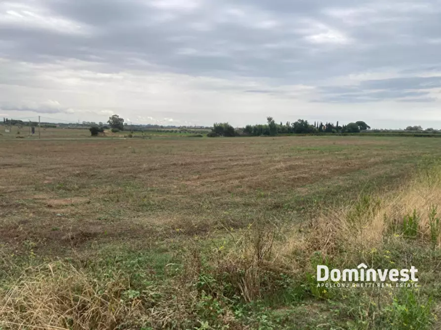 Immagine 1 di Terreno in vendita  in Strada Pedemontana a Capalbio
