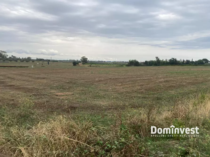 Immagine 2 di Terreno in vendita  in Strada Pedemontana a Capalbio