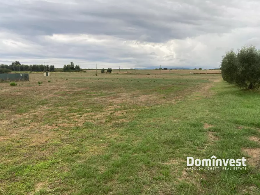 Immagine 3 di Terreno in vendita  in Strada Pedemontana a Capalbio