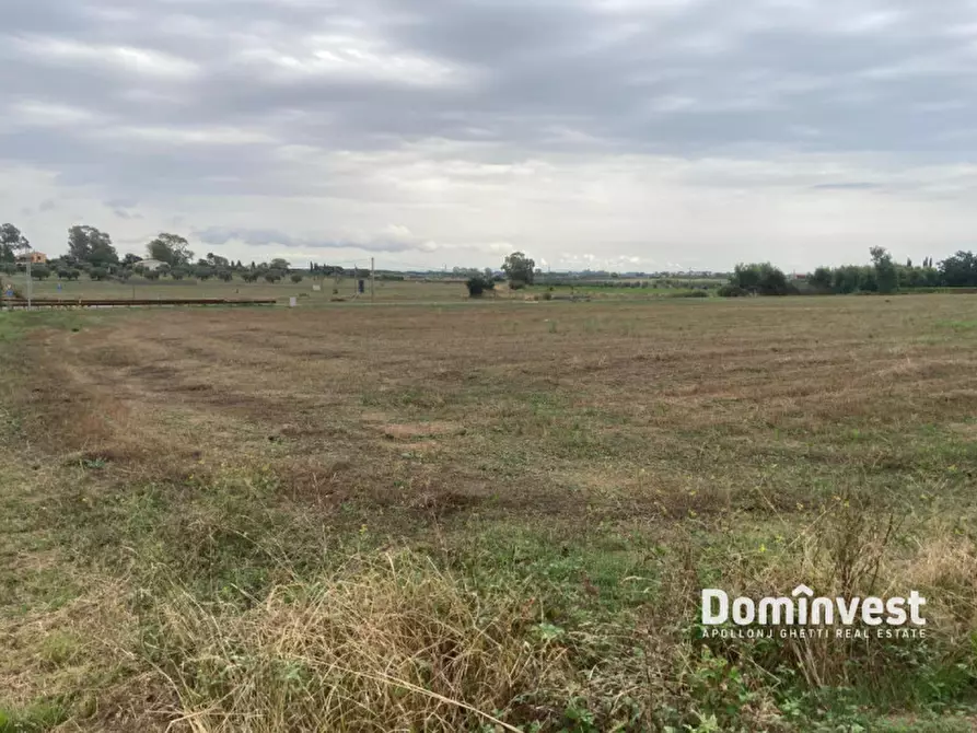 Immagine 4 di Terreno in vendita  in Strada Pedemontana a Capalbio