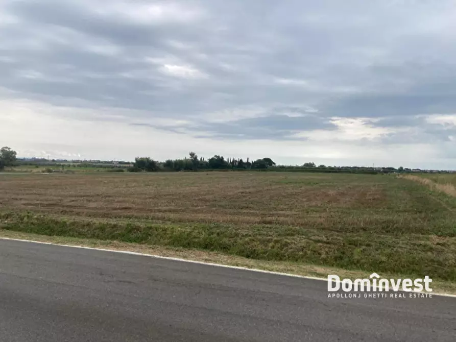 Immagine 5 di Terreno in vendita  in Strada Pedemontana a Capalbio