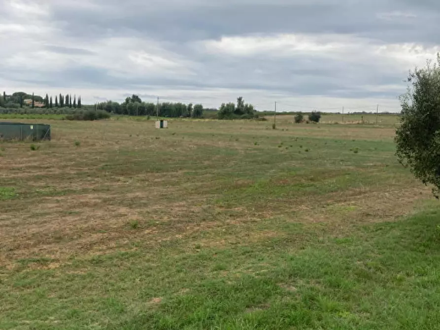 Immagine 6 di Terreno in vendita  in Strada Pedemontana a Capalbio