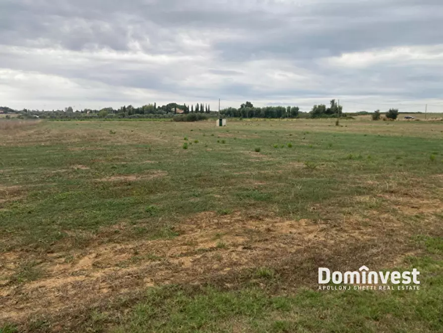 Immagine 7 di Terreno in vendita  in Strada Pedemontana a Capalbio