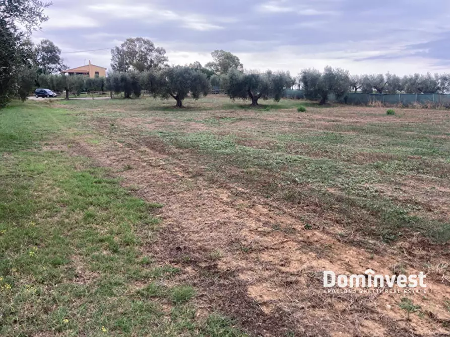 Immagine 8 di Terreno in vendita  in Strada Pedemontana a Capalbio