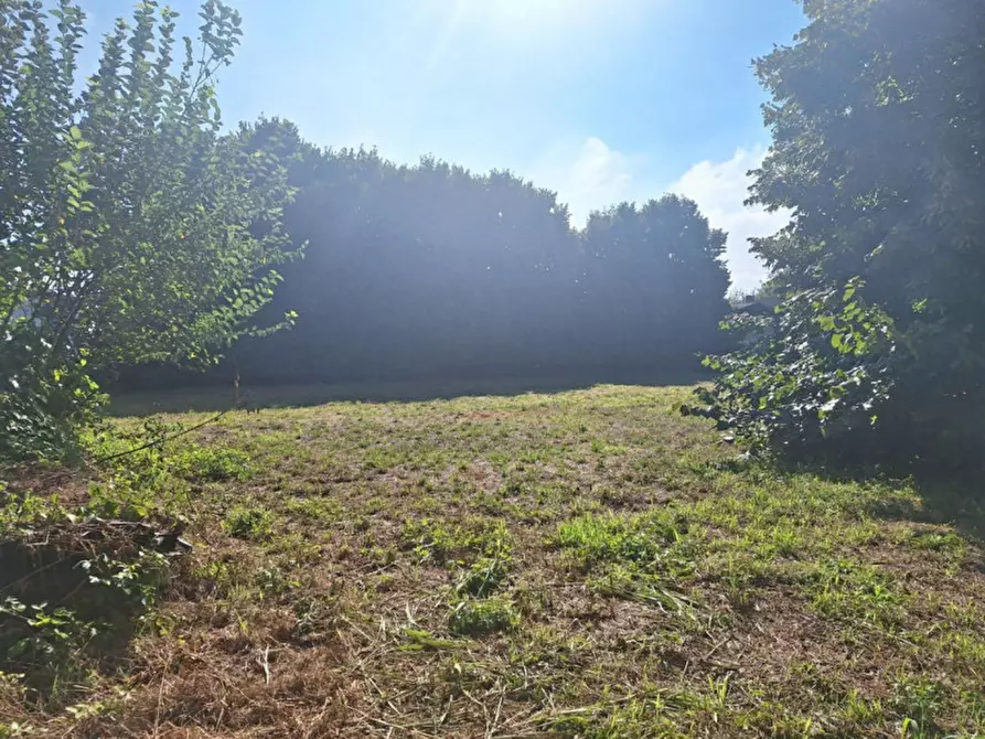 Immagine 3 di Capannone industriale in vendita  in Via Madonna, 276, 37051 Bovolone VR, Italia a Bovolone