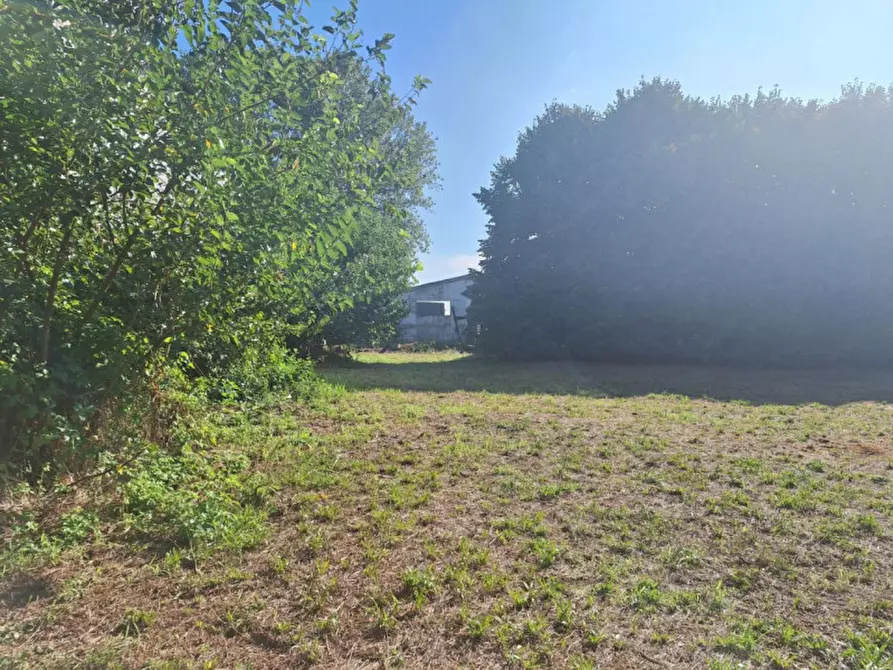 Immagine 4 di Capannone industriale in vendita  in Via Madonna, 276, 37051 Bovolone VR, Italia a Bovolone