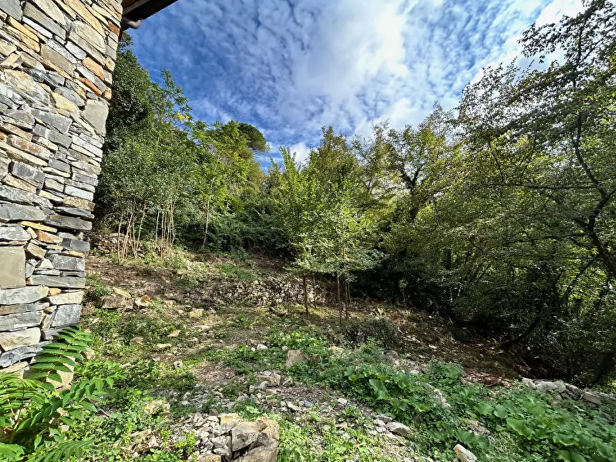 Immagine 6 di Casa indipendente in vendita  in Via Franco Molfino a Camogli