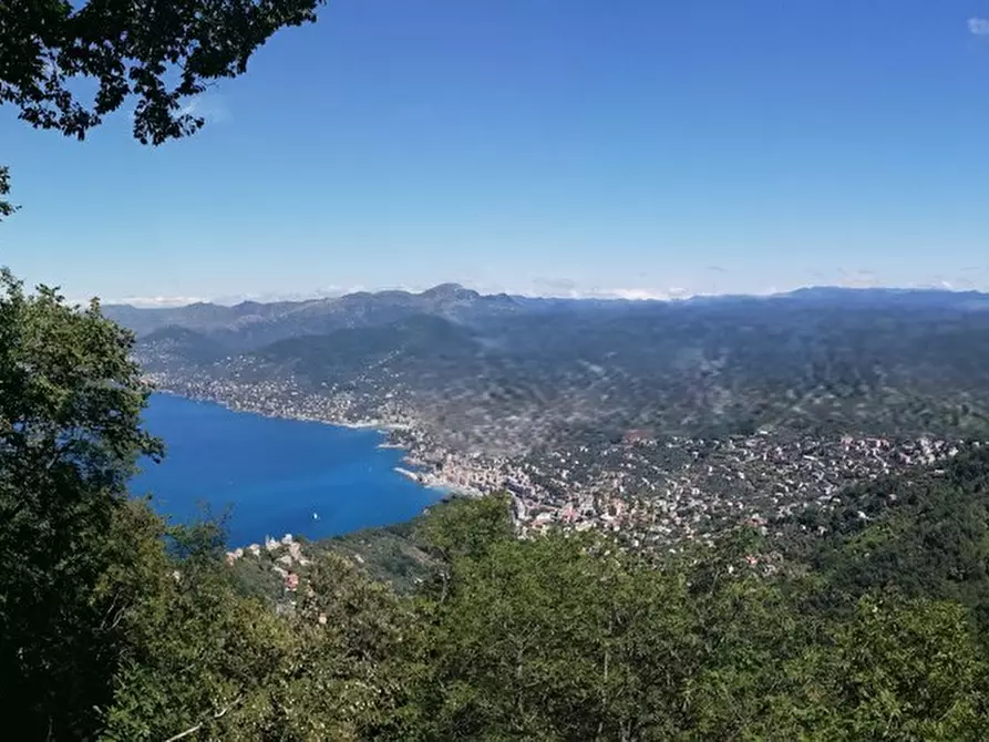 Immagine 12 di Casa indipendente in vendita  in Via Franco Molfino a Camogli
