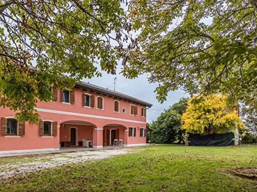 Immagine 14 di Villa in vendita  a Vigodarzere