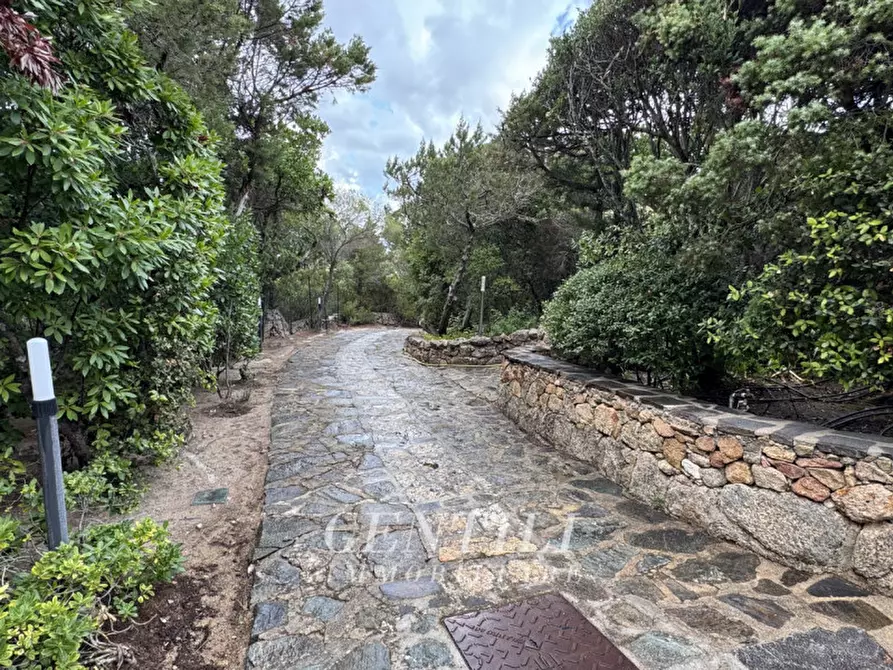Immagine 32 di Villa in vendita  in Via Vaddi di Jatta a Arzachena