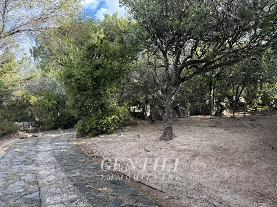 Immagine 33 di Villa in vendita  in Via Vaddi di Jatta a Arzachena