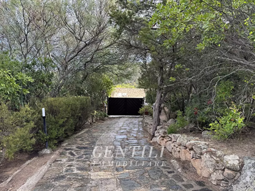 Immagine 34 di Villa in vendita  in Via Vaddi di Jatta a Arzachena