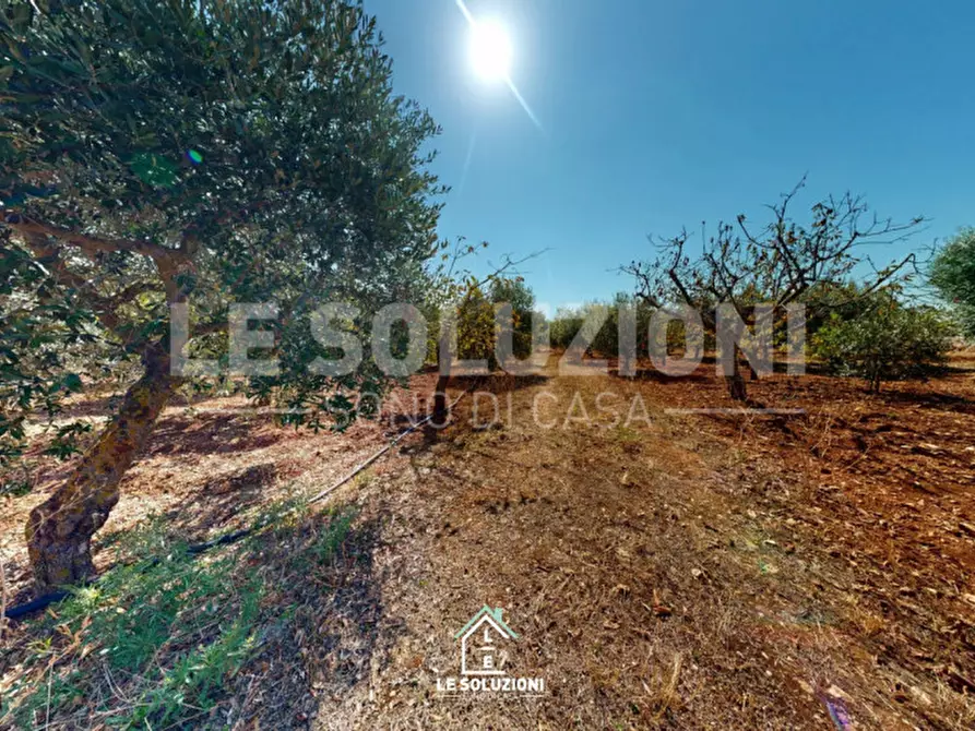 Immagine 8 di Rustico / casale in vendita  in Strada comunale Cucumo a Castellana Grotte