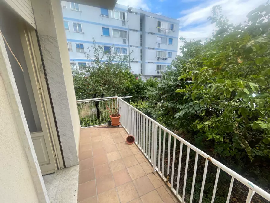 Immagine 8 di Appartamento in vendita  in via capestrano Vasto a Vasto