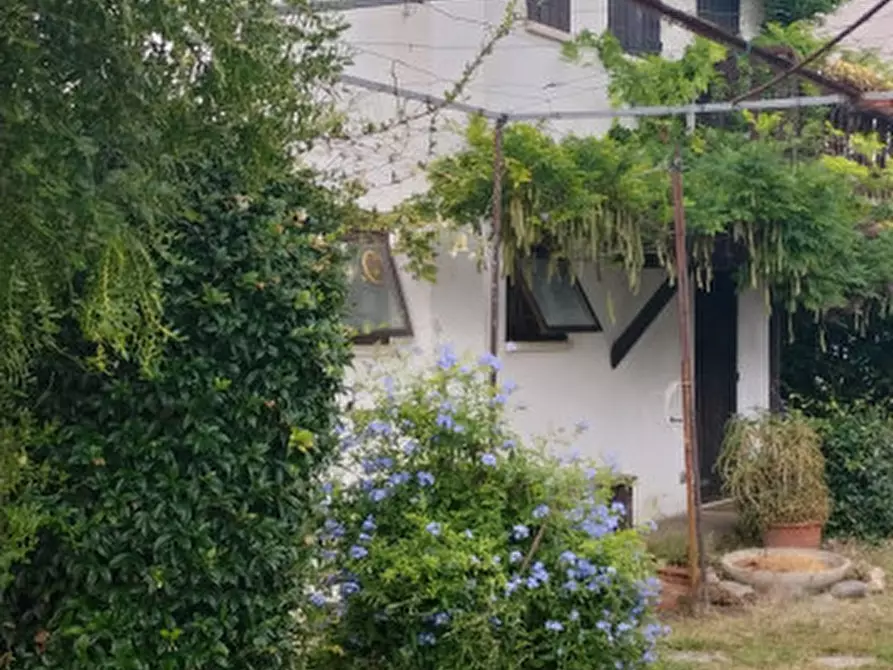 Immagine 4 di Villa in vendita  a Padova