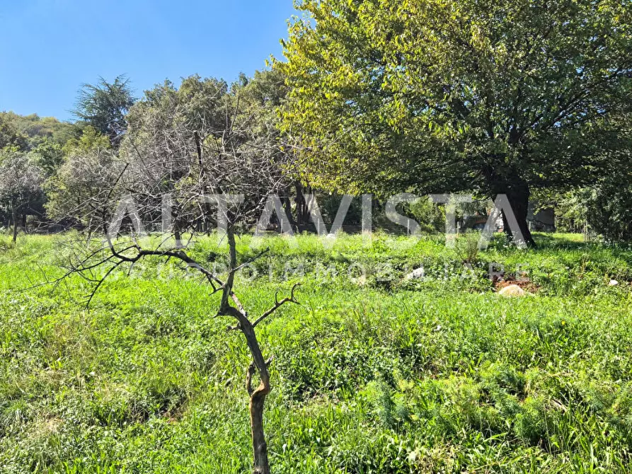 Immagine 37 di Rustico / casale in vendita  in Via Molvina a Nuvolera