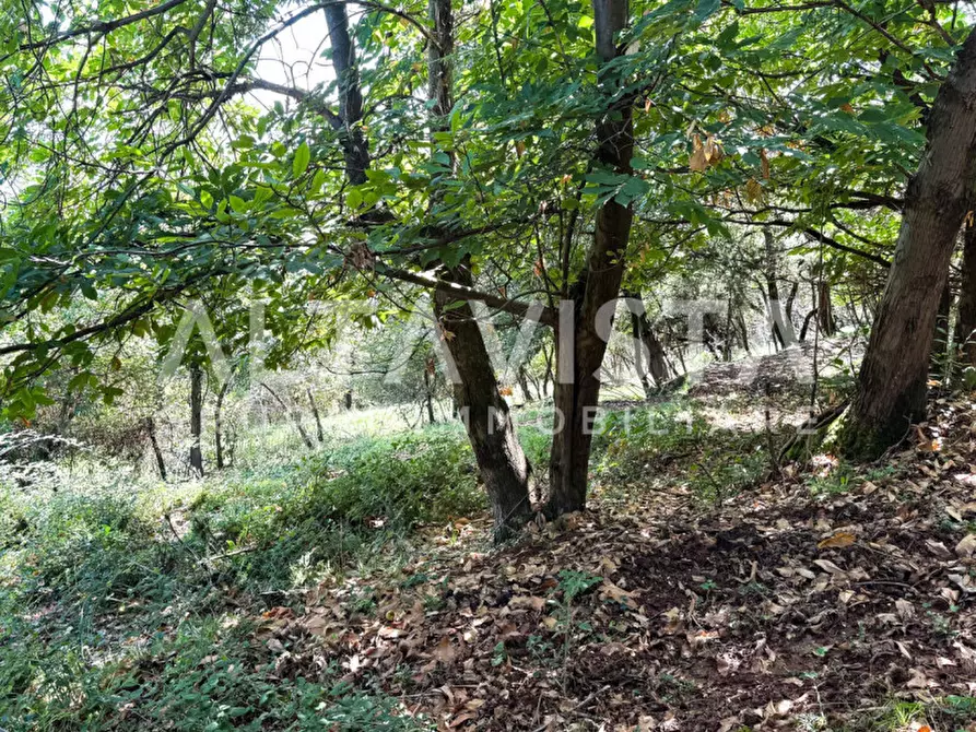 Immagine 40 di Rustico / casale in vendita  in Via Molvina a Nuvolera