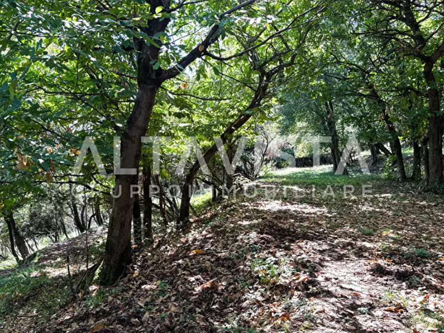 Immagine 41 di Rustico / casale in vendita  in Via Molvina a Nuvolera