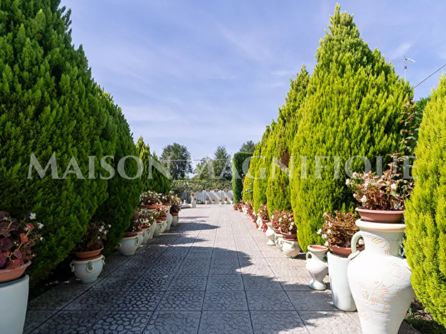 Immagine 55 di Villa in vendita  in Via Viazza a Riva Del Po