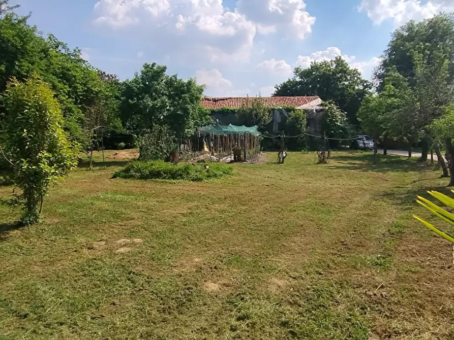 Immagine 2 di Terreno in vendita  in Via Primavera a Campodarsego