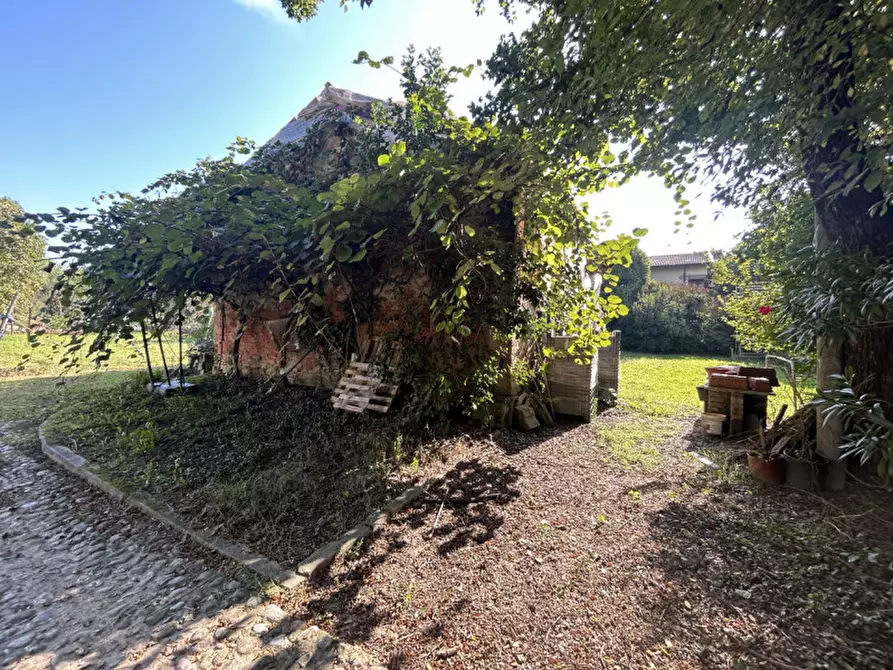 Immagine 5 di Terreno in vendita  in Via Primavera a Campodarsego