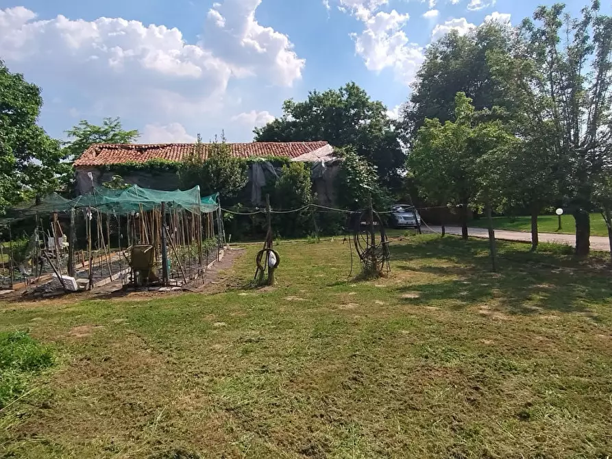Immagine 6 di Terreno in vendita  in Via Primavera a Campodarsego