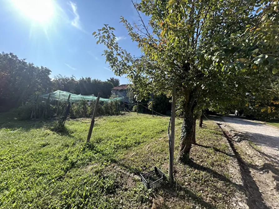 Immagine 6 di Terreno in vendita  in Via Primavera a Campodarsego