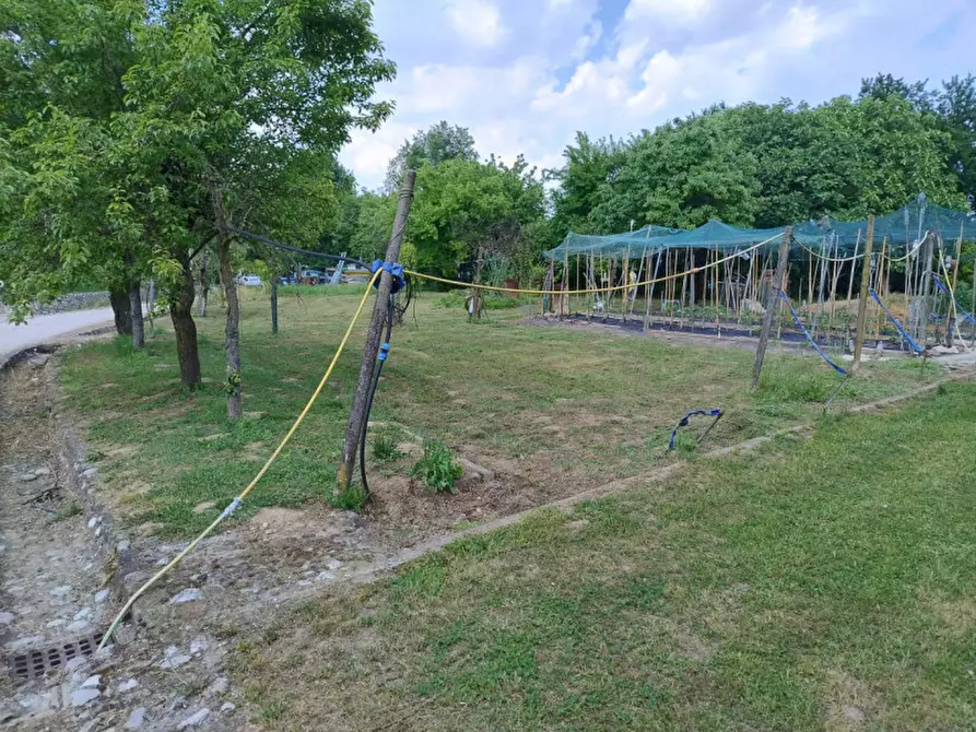 Immagine 7 di Terreno in vendita  in Via Primavera a Campodarsego