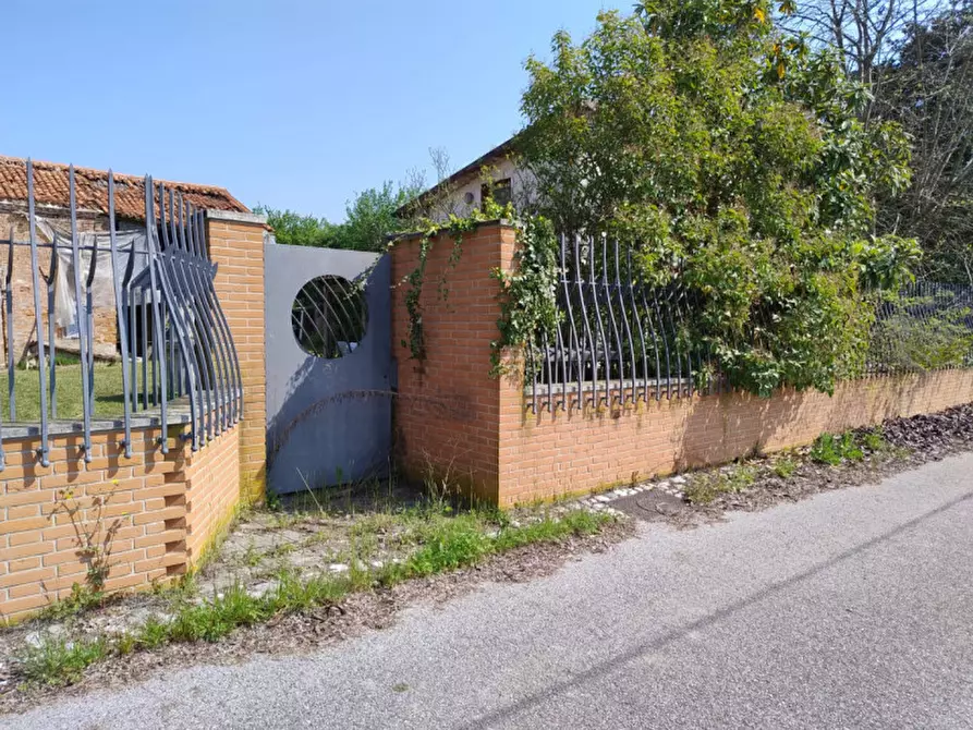 Immagine 7 di Terreno in vendita  in Via Primavera a Campodarsego