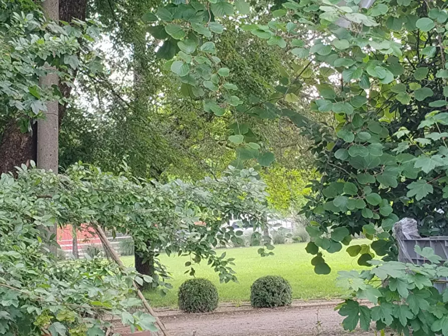 Immagine 8 di Terreno in vendita  in Via Primavera a Campodarsego