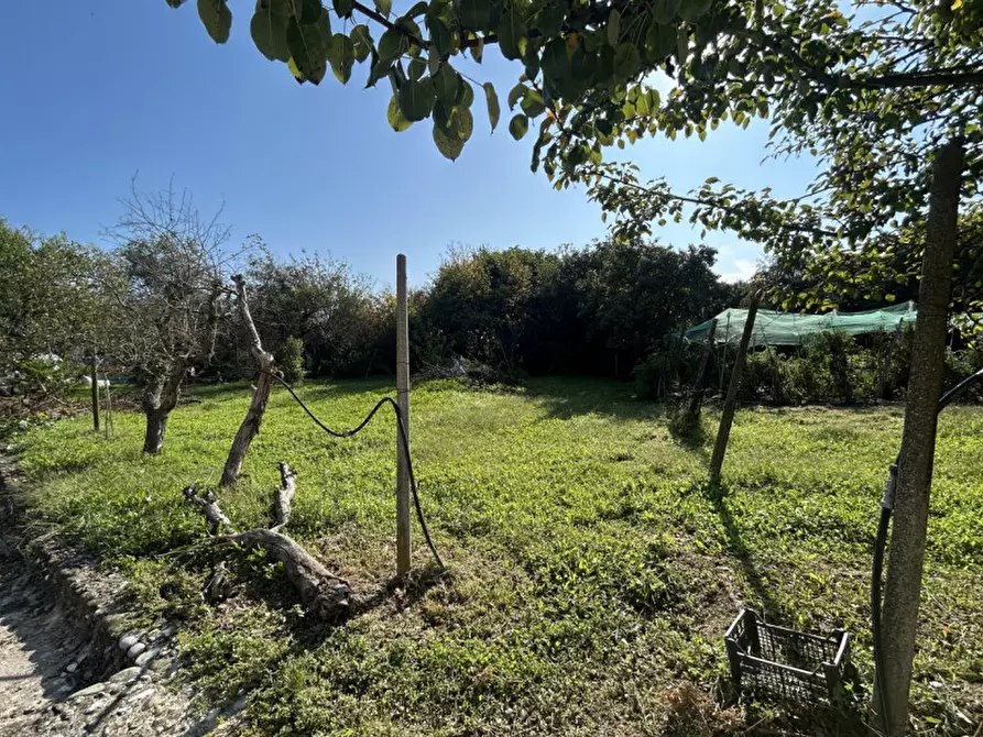 Immagine 8 di Terreno in vendita  in Via Primavera a Campodarsego