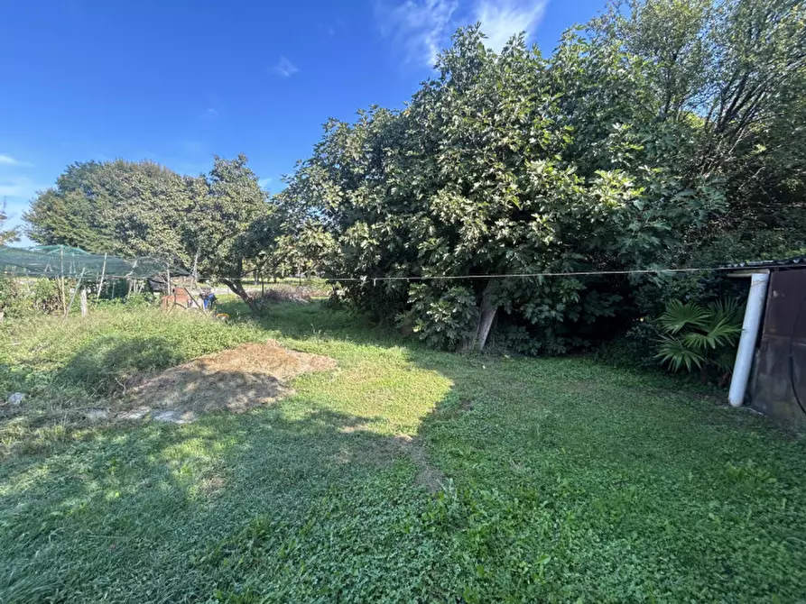 Immagine 9 di Terreno in vendita  in Via Primavera a Campodarsego