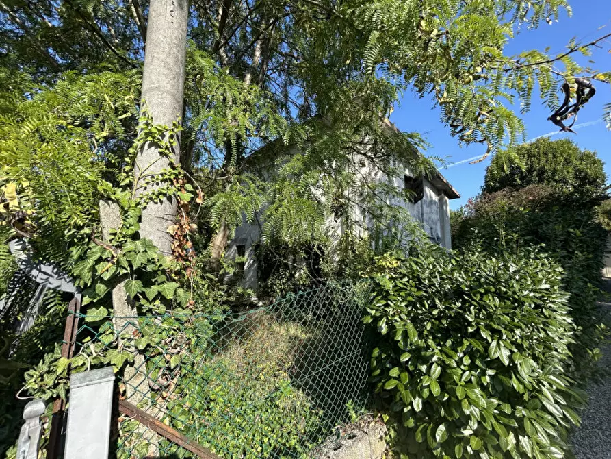 Immagine 15 di Terreno in vendita  in Via Primavera a Campodarsego