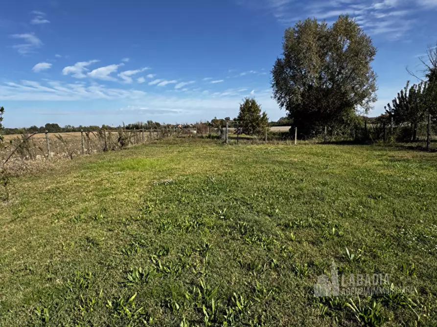 Immagine 33 di Villetta a schiera in vendita  in Via Arioste 1137 a Bagnolo Di Po