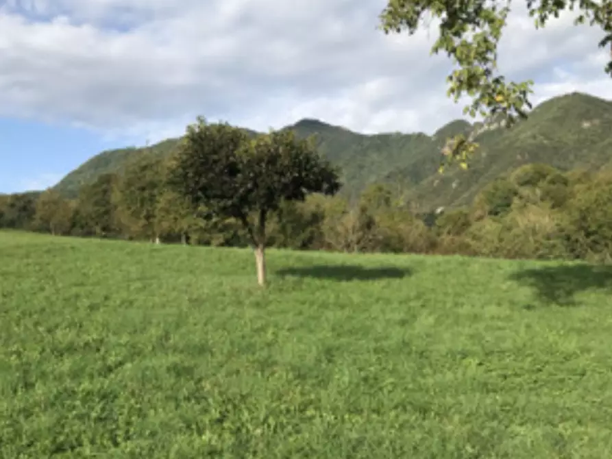 Immagine 7 di Casa indipendente in vendita  in Contrada Vegri a Valdagno