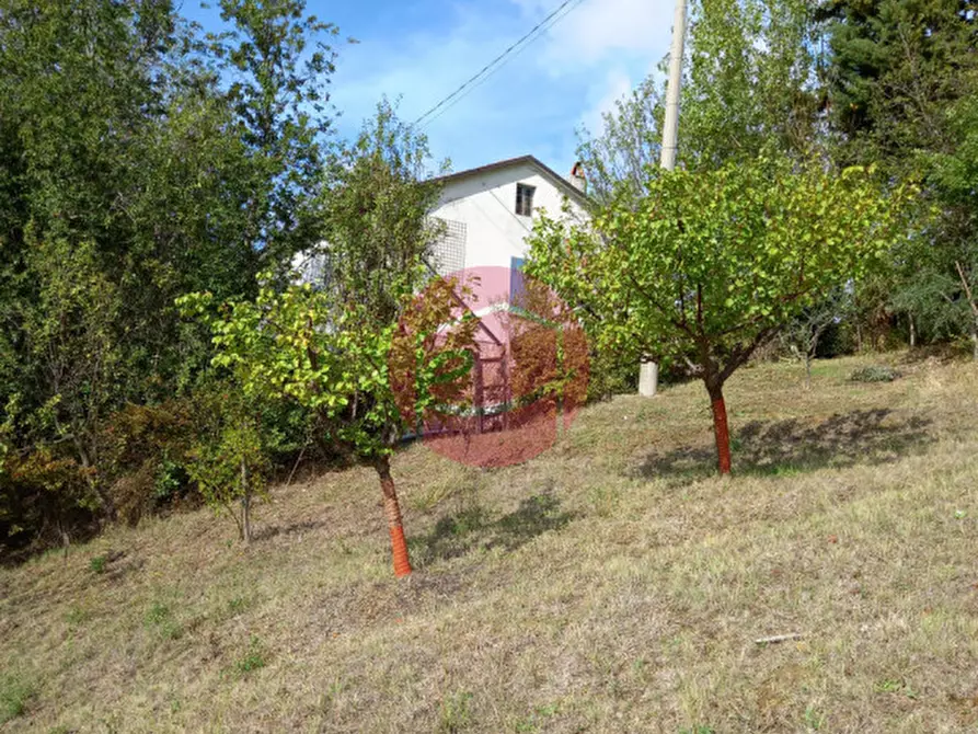 Immagine 2 di Casa indipendente in vendita  a Borghi