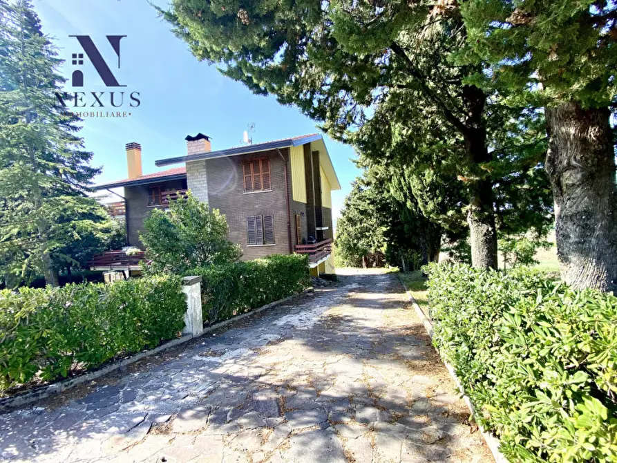 Immagine 2 di Casa bifamiliare in vendita  a Terre Roveresche