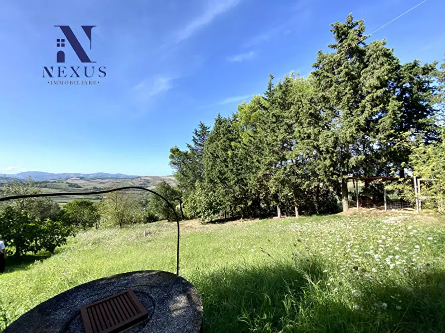 Immagine 9 di Casa bifamiliare in vendita  a Terre Roveresche