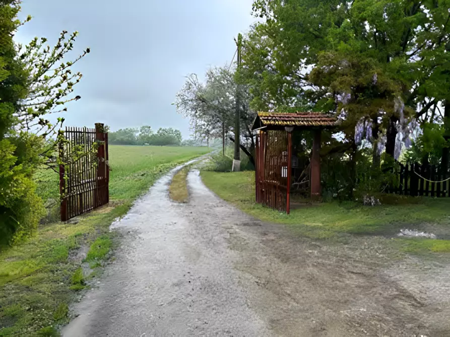 Immagine 9 di Appartamento in vendita  in via San Tomaso, 3019 a Medicina