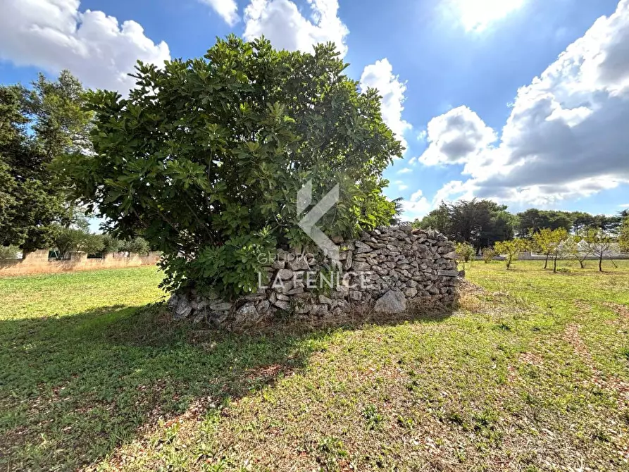 Immagine 1 di Terreno in vendita  in contrada san domenico a Martina Franca