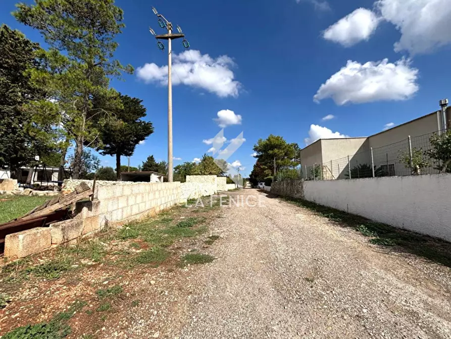 Immagine 2 di Terreno in vendita  in contrada san domenico a Martina Franca